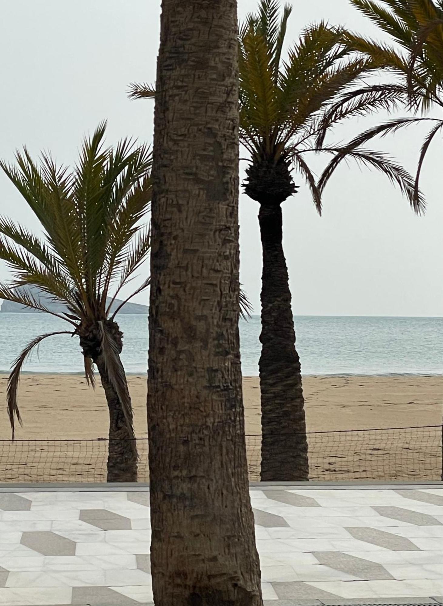 Casa Holiday Finestrat - 3 Bedroom Flat With Common Pool Экстерьер фото